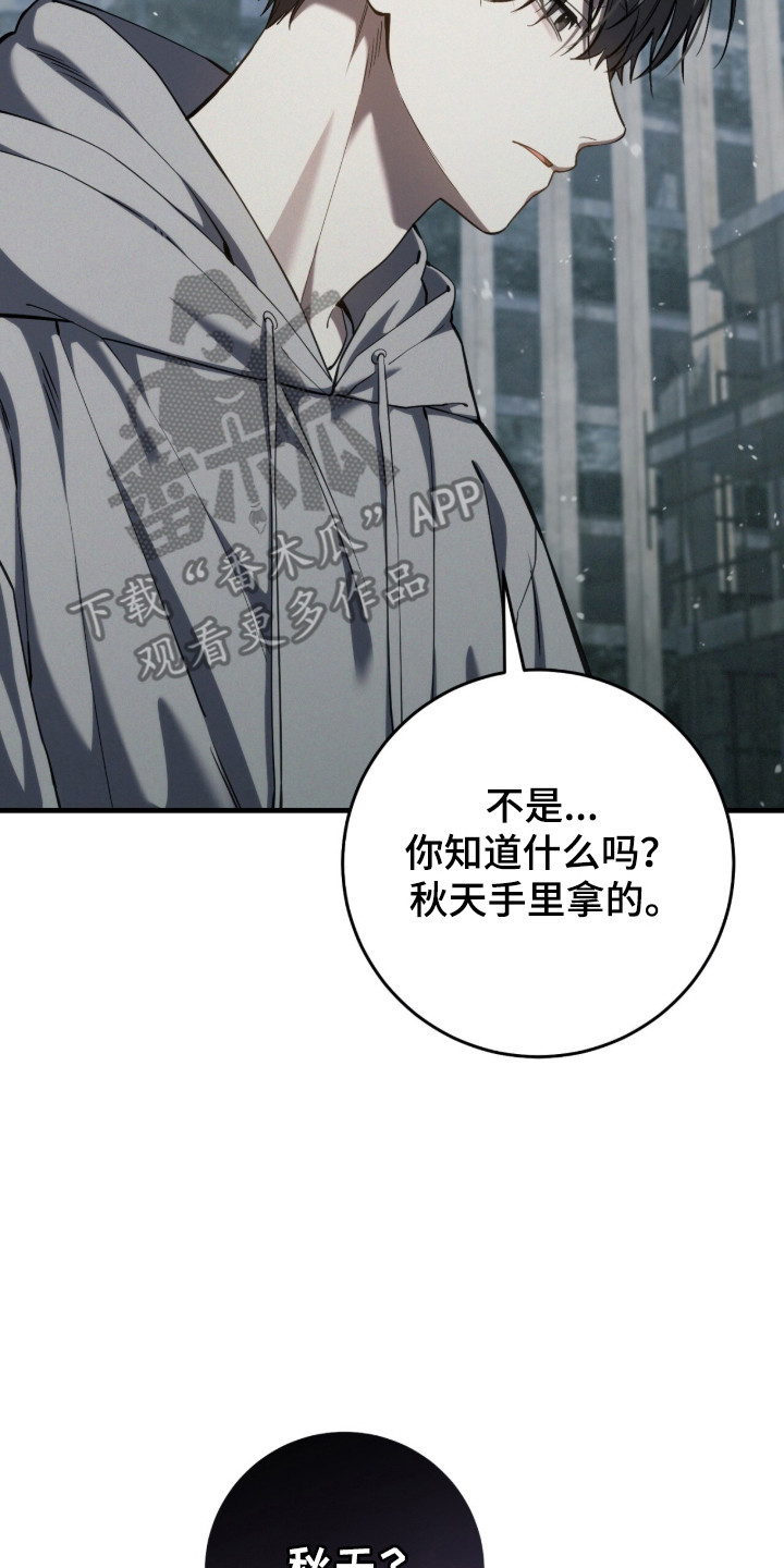 猎人回归漫画,第99章：【第二季】准备好负责1图