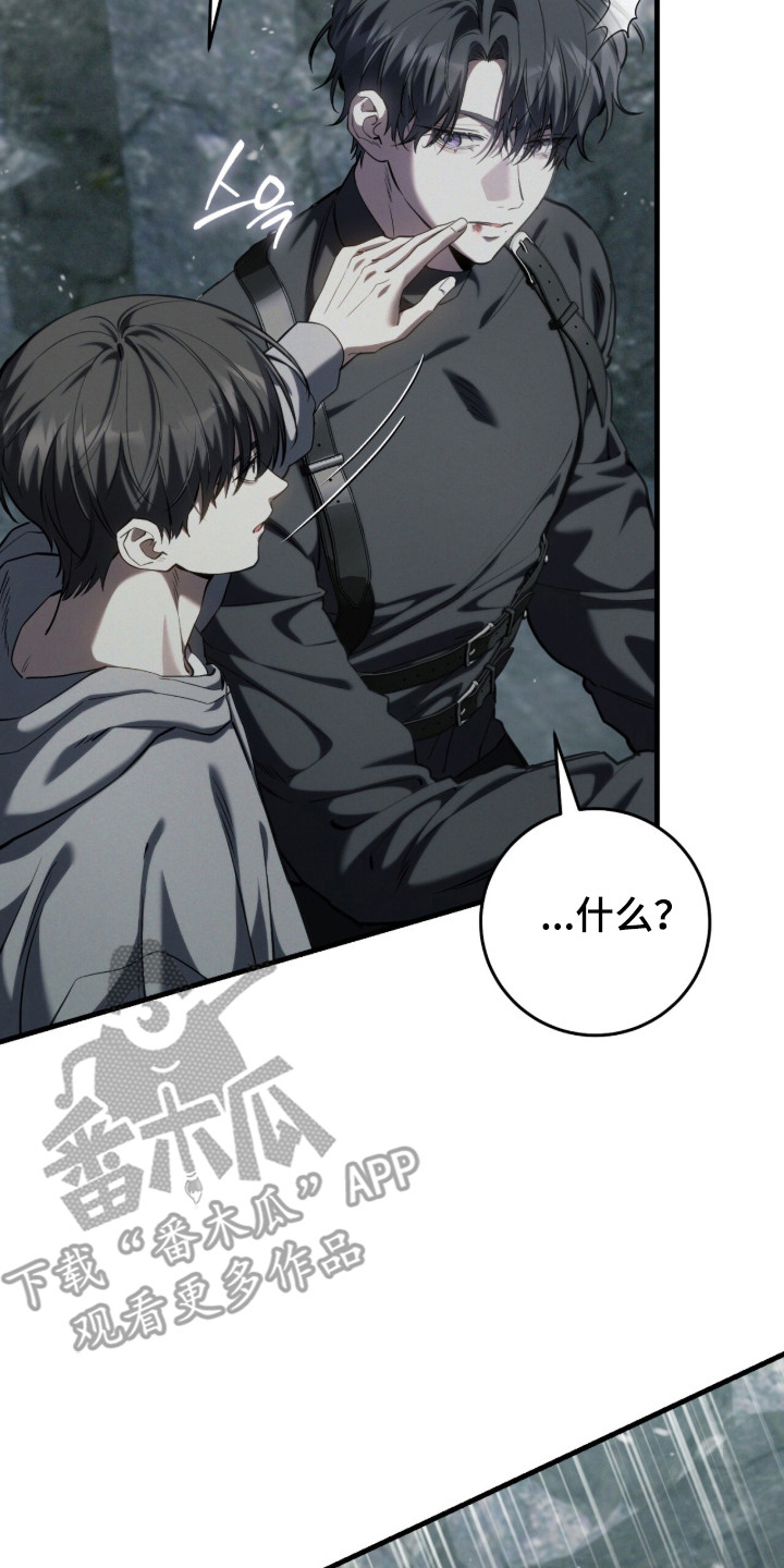 猎人回归笔趣阁TXT下载漫画,第98章：【第二季】别再丢下我1图