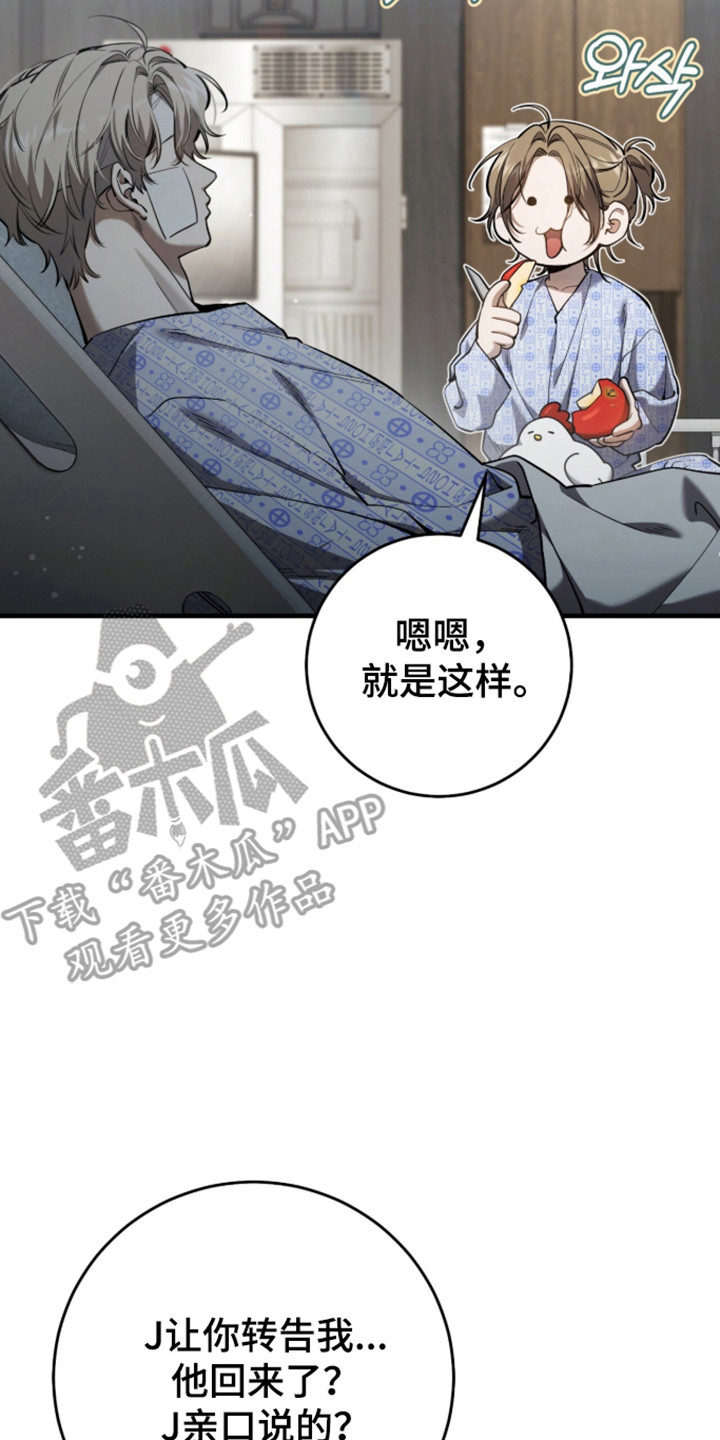 猎人回归漫画,第100章：【第二季】高级机密3图