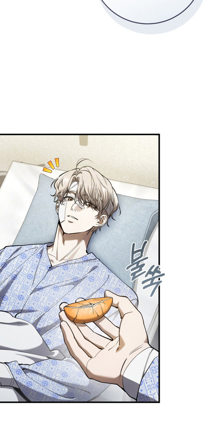 猎人回归笔趣阁TXT下载漫画,第101章：【第二季】类似经历5图