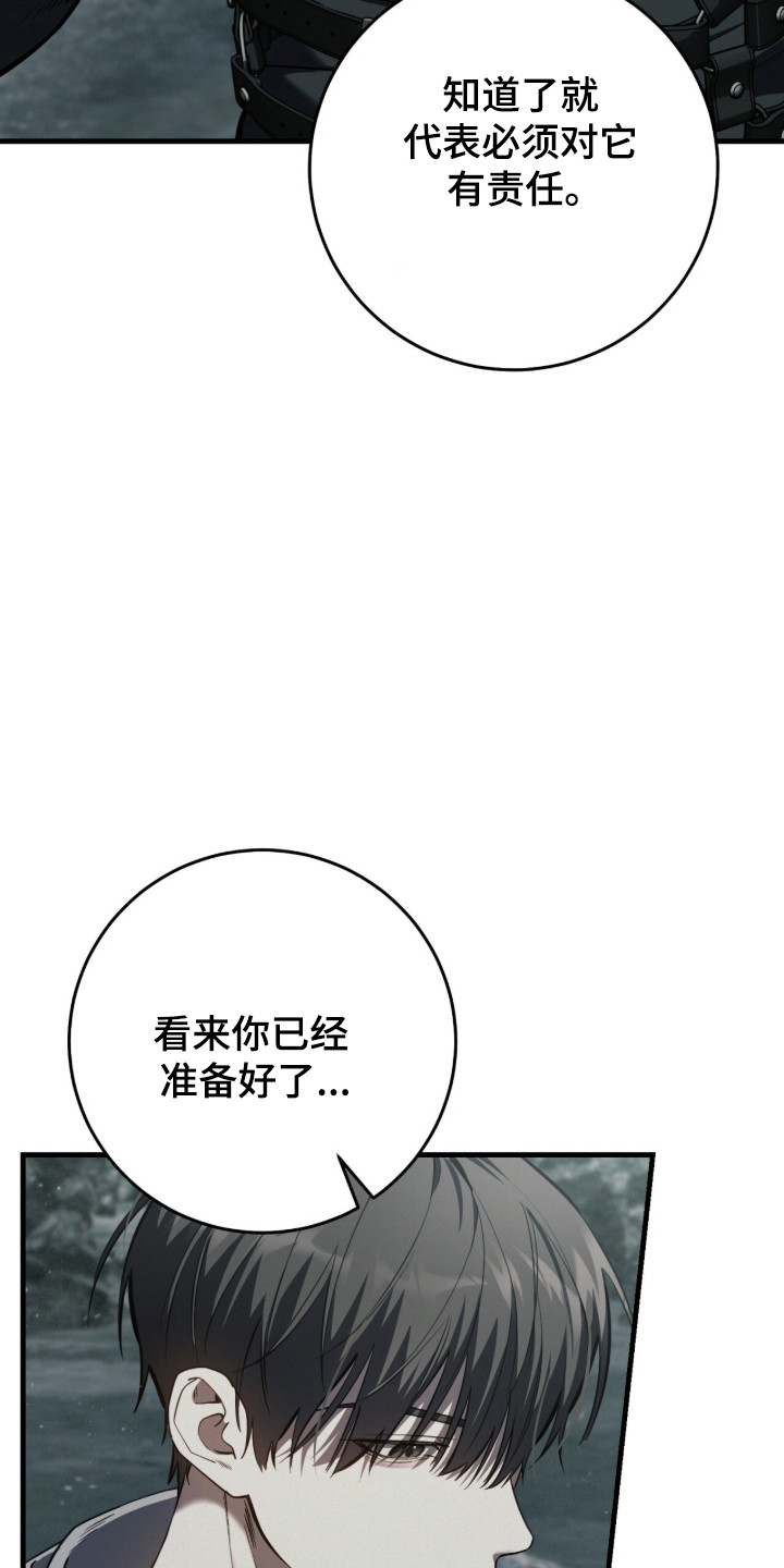 猎人回归漫画,第99章：【第二季】准备好负责2图