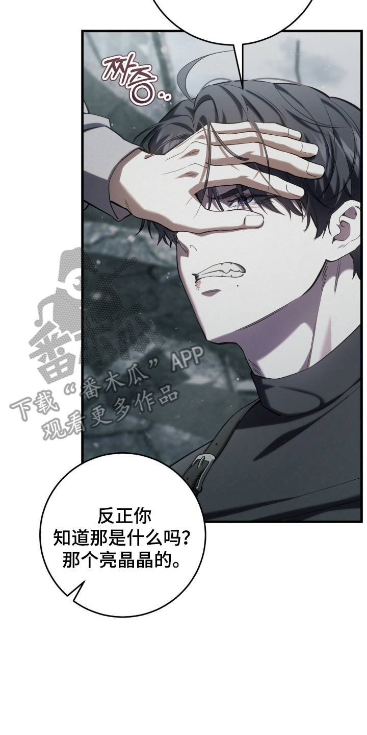 猎人回归漫画,第99章：【第二季】准备好负责1图