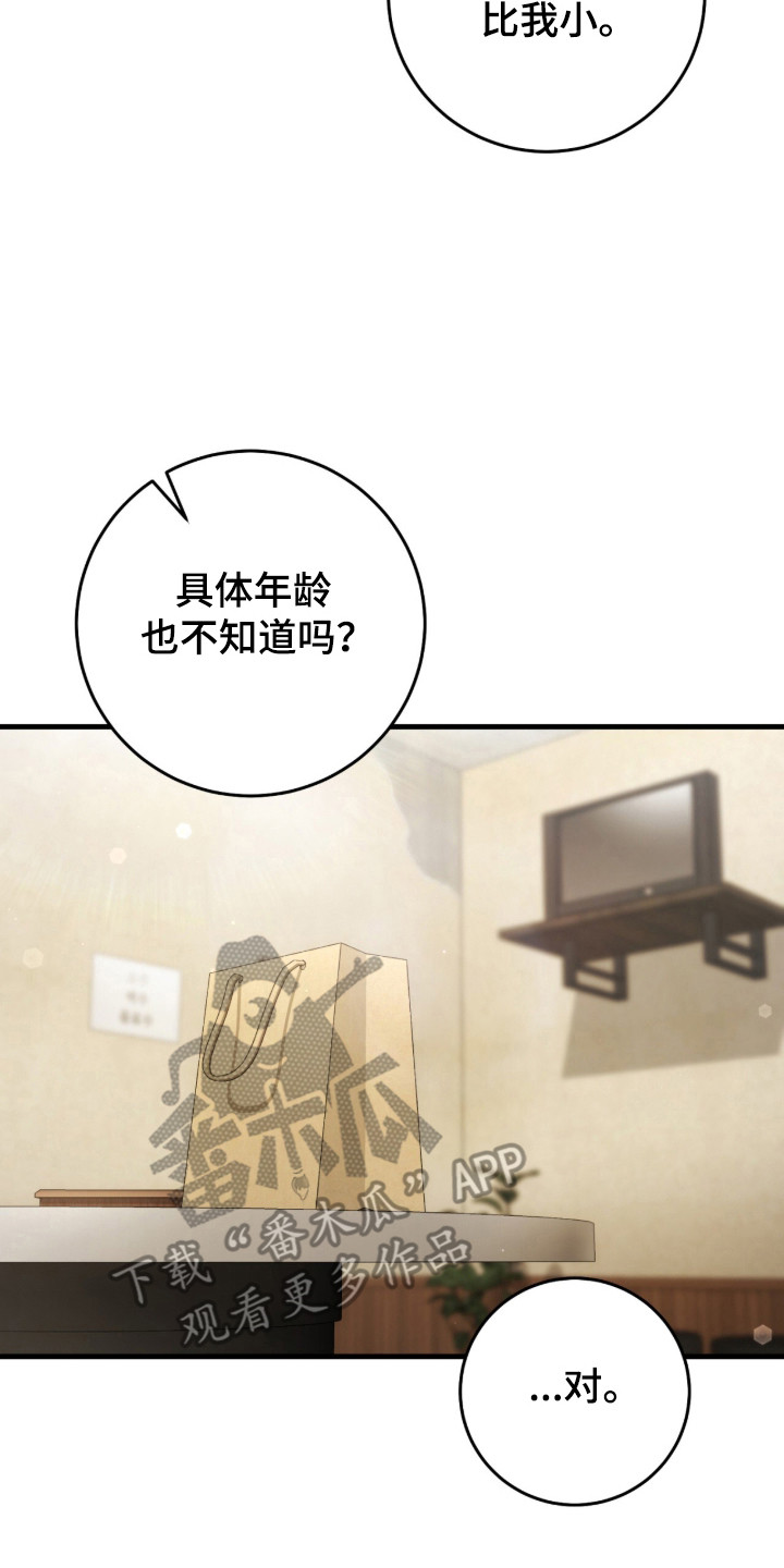 猎人回归笔趣阁TXT下载漫画,第102章：【第二季】毒气入体1图