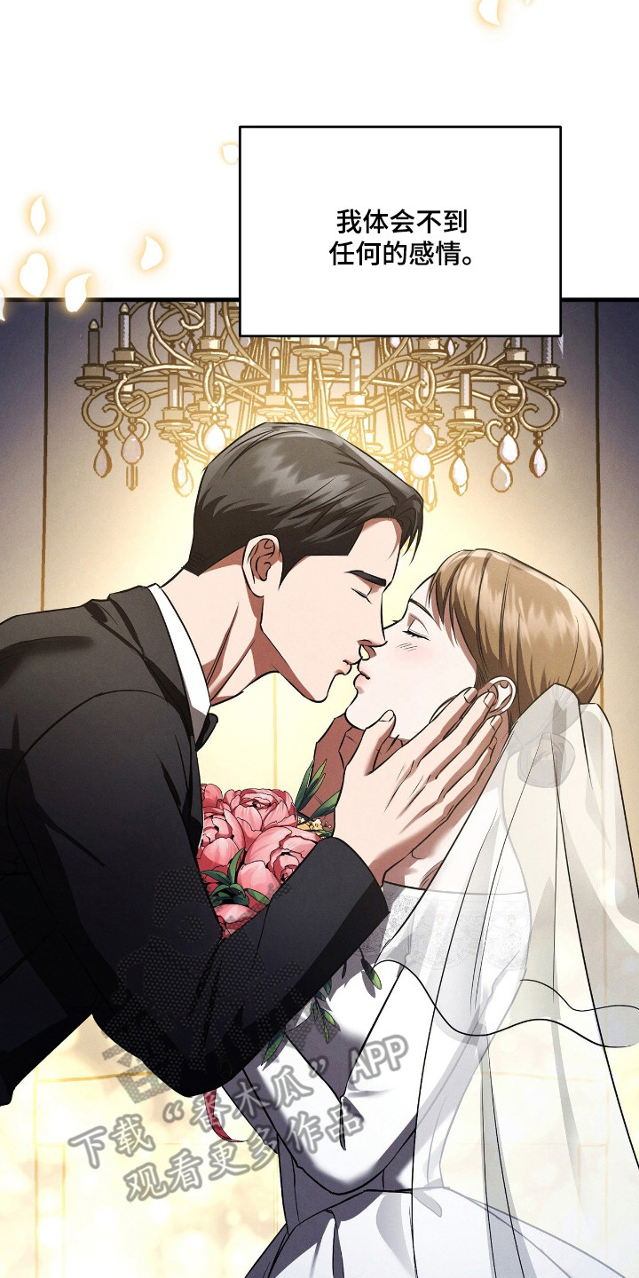 崩裂渡鸦强度分析漫画,第90章：无声的眼泪1图