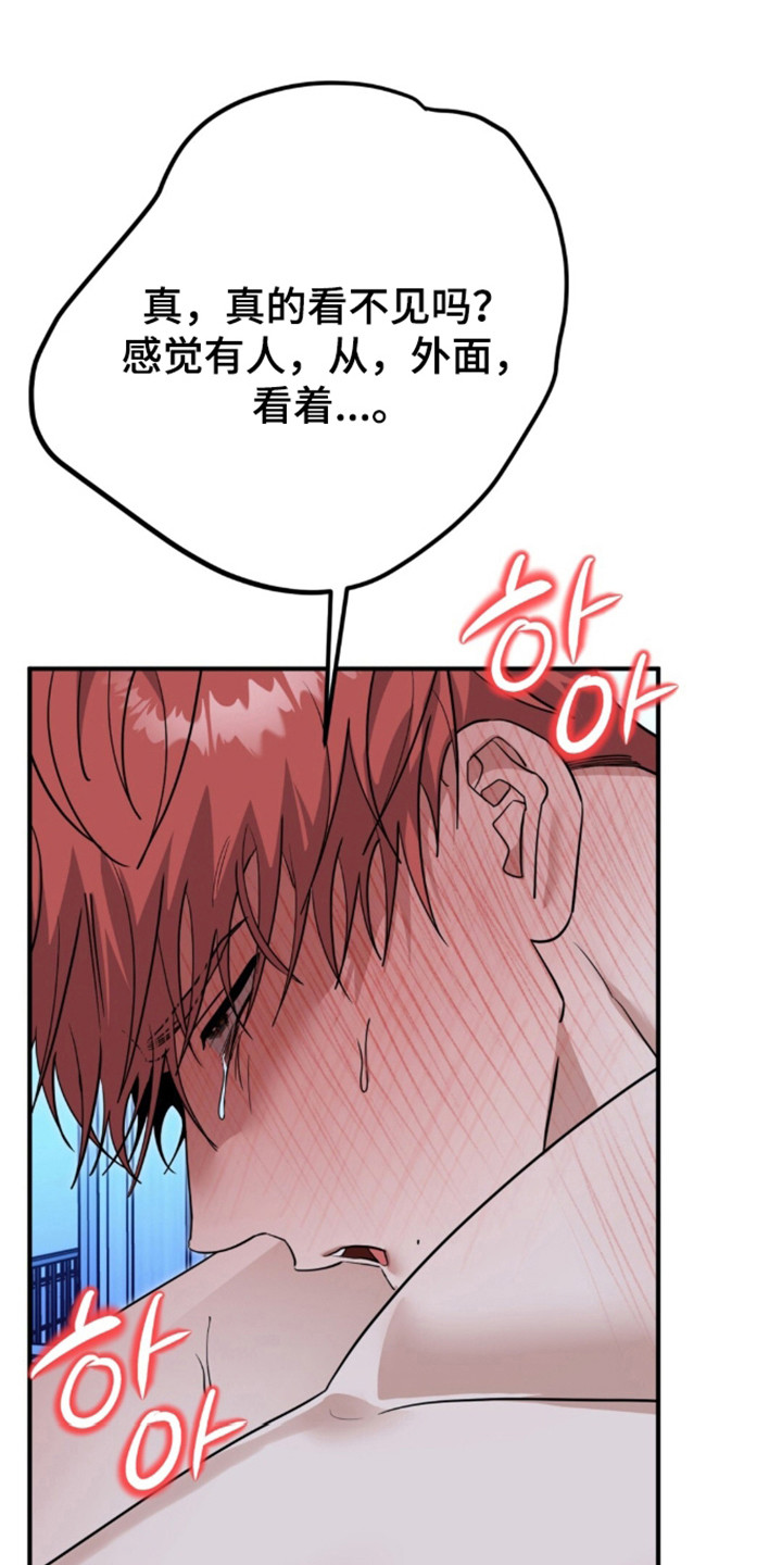 摘下星星送给你漫画,第141章：观赏夜景5图