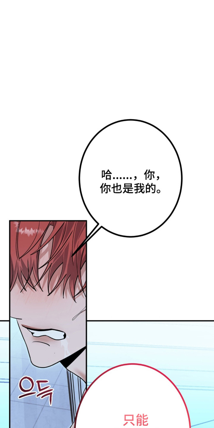 摘下星星送给你漫画,第141章：观赏夜景3图