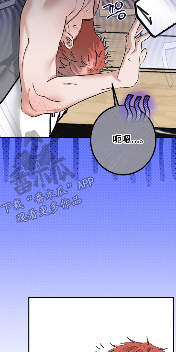 摘下星星送给你漫画,第143章：请多关照（完结）3图