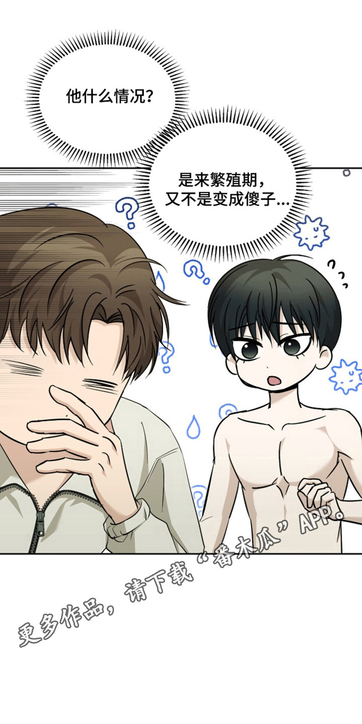 命运击绊漫画,第73章：神志不清4图