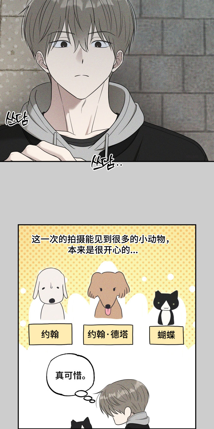 偶像有猫腻漫画好看吗漫画,第61章：【第二季】超出想象的程度了5图