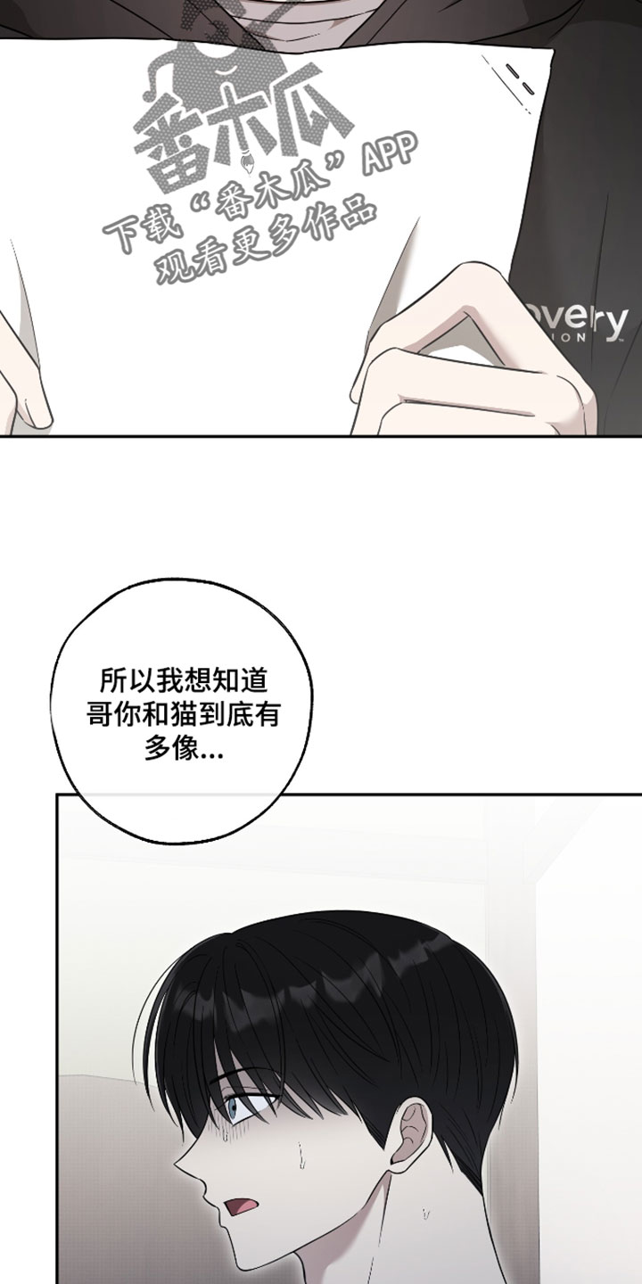偶像有约结局漫画,第66章：【第二季】野兽般的直觉3图