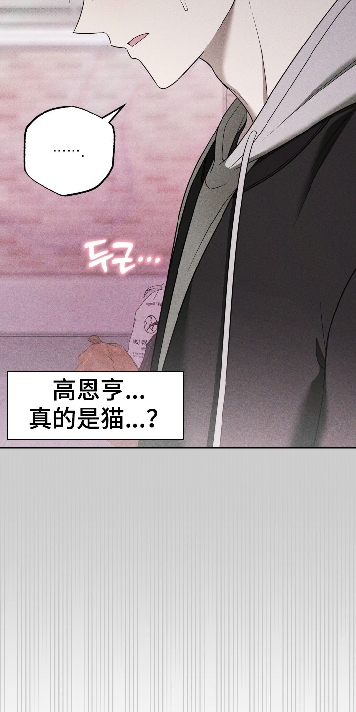 偶像有猫腻别名是什么漫画,第61章：【第二季】超出想象的程度了1图