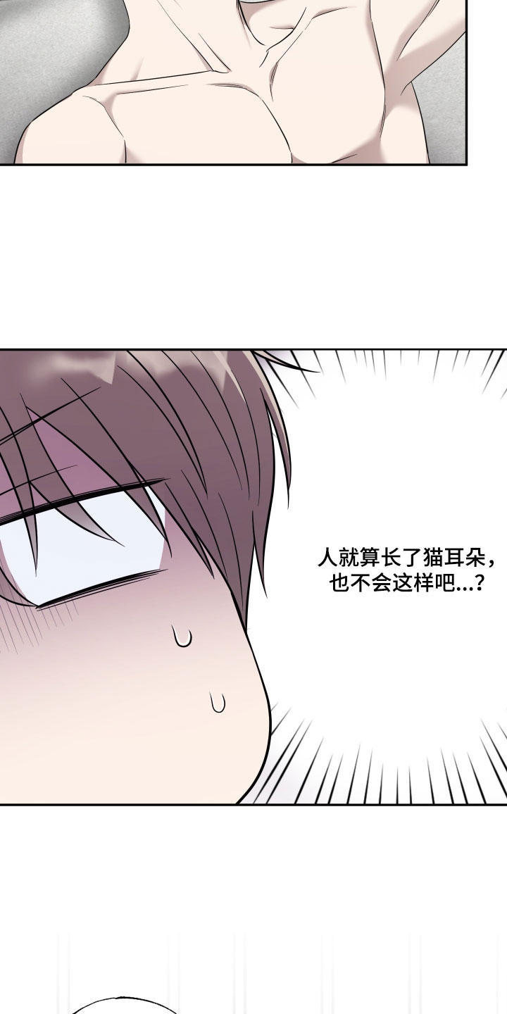 偶像有猫腻漫画好看吗漫画,第60章：【第二季】共同点4图
