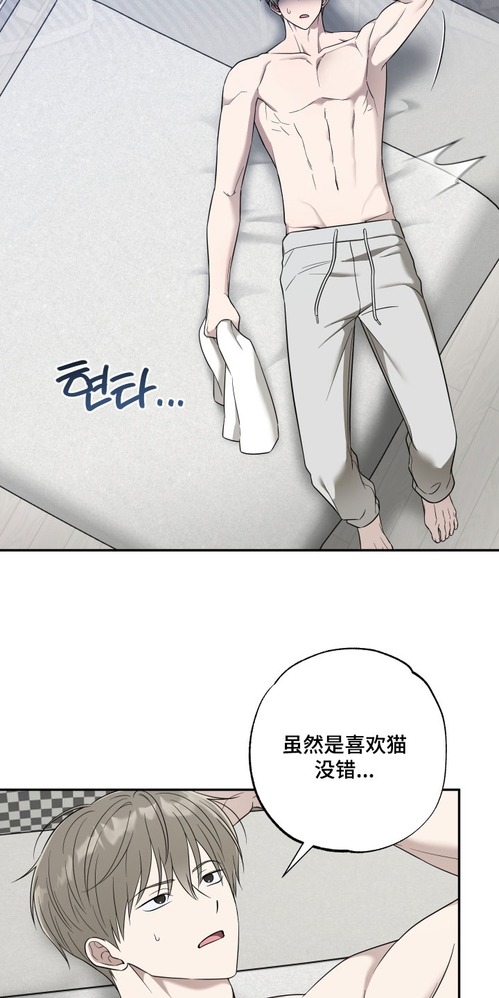 偶像有猫腻漫画好看吗漫画,第60章：【第二季】共同点3图