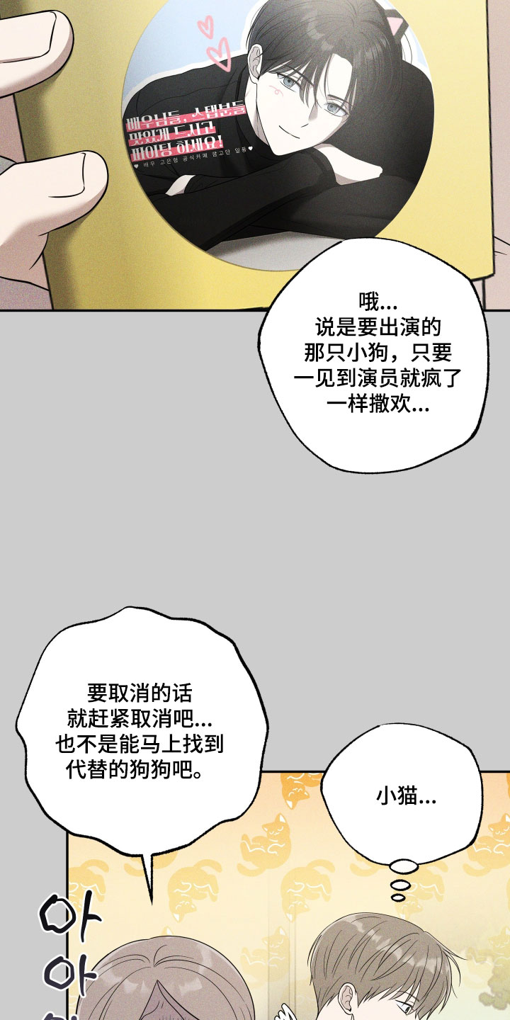 偶像iv漫画,第60章：【第二季】共同点5图
