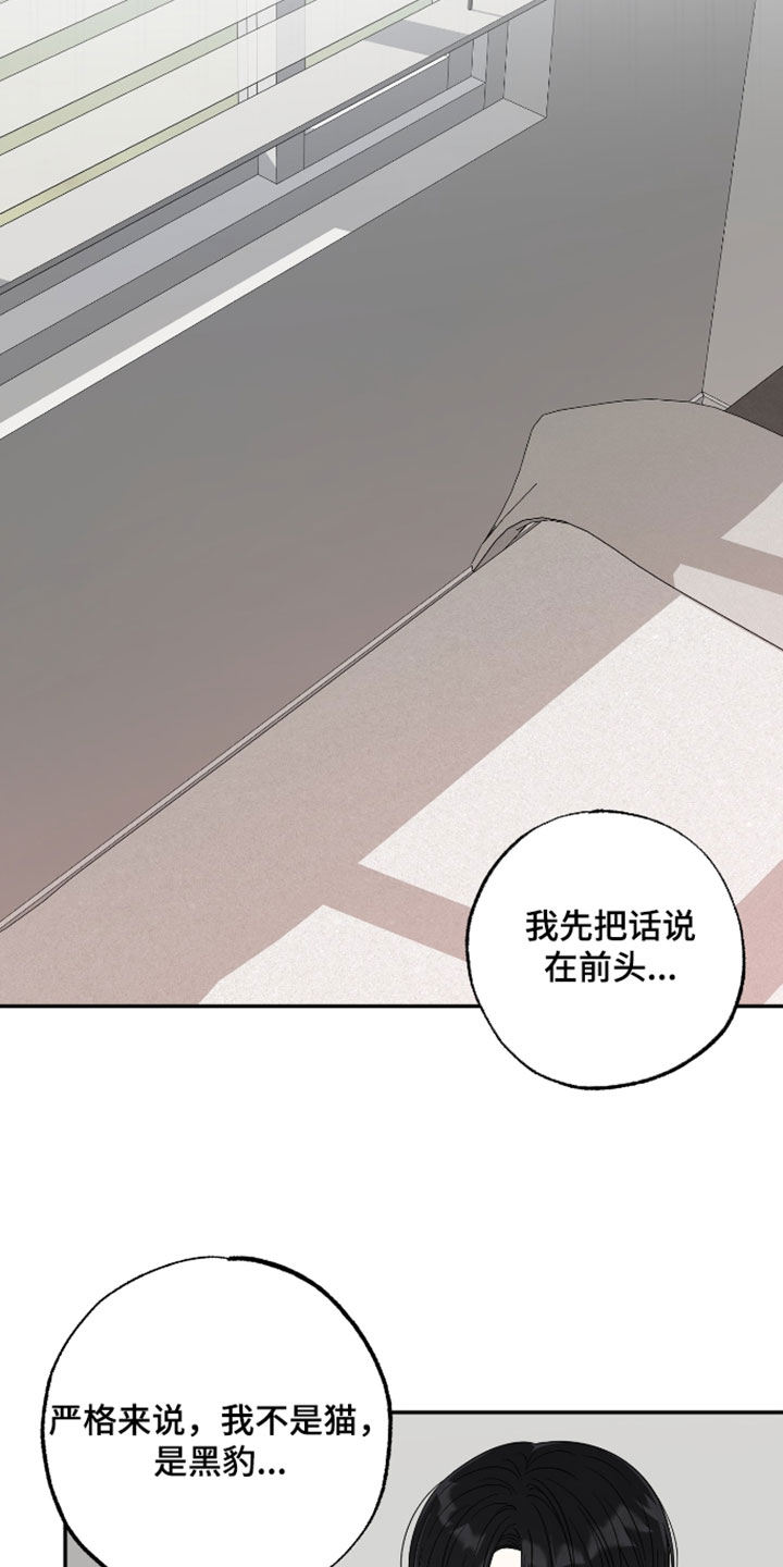偶像剧霸道总裁电视剧漫画,第59章：【第二季】限度5图