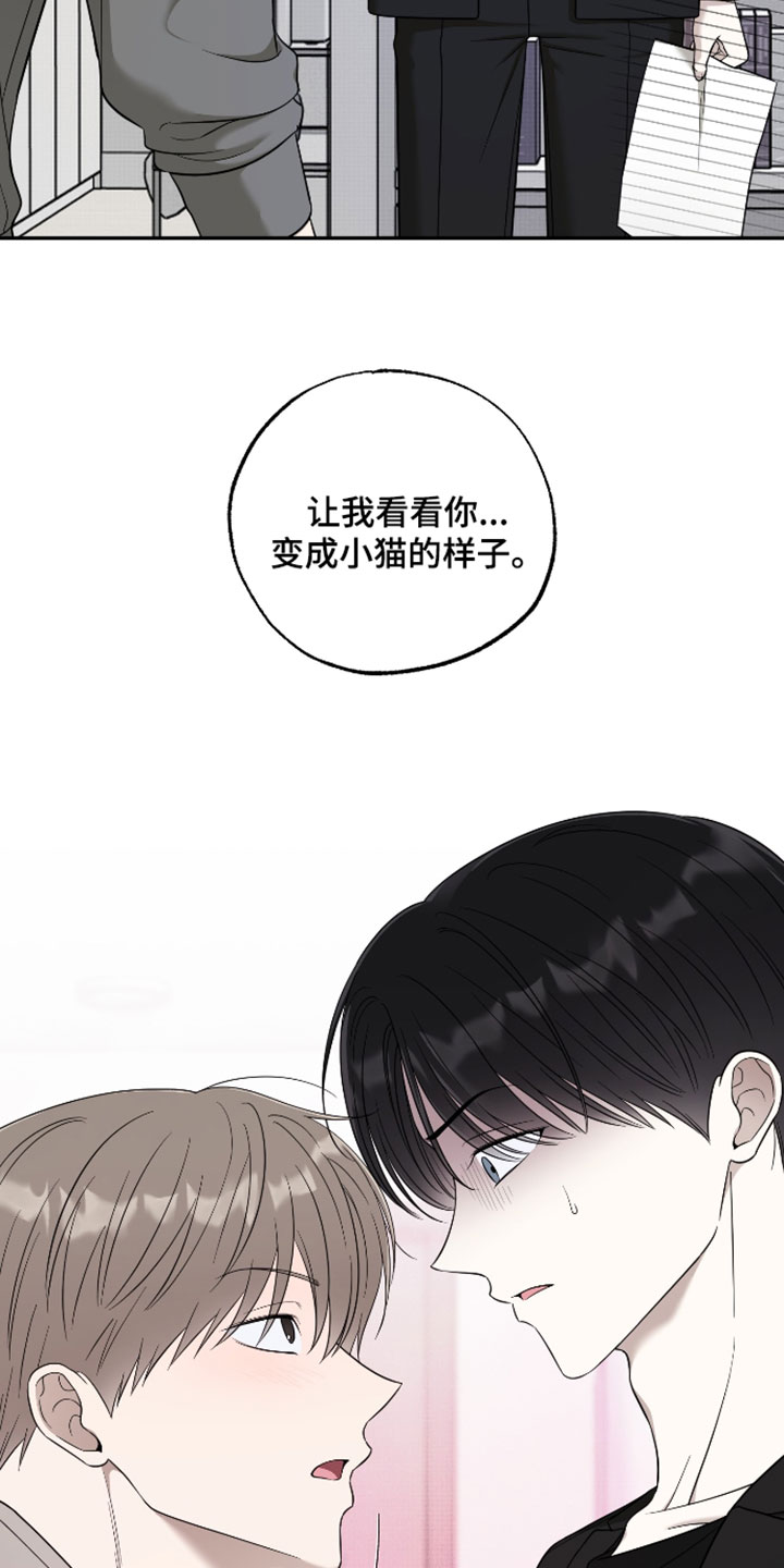 偶像剧霸道总裁电视剧漫画,第59章：【第二季】限度1图