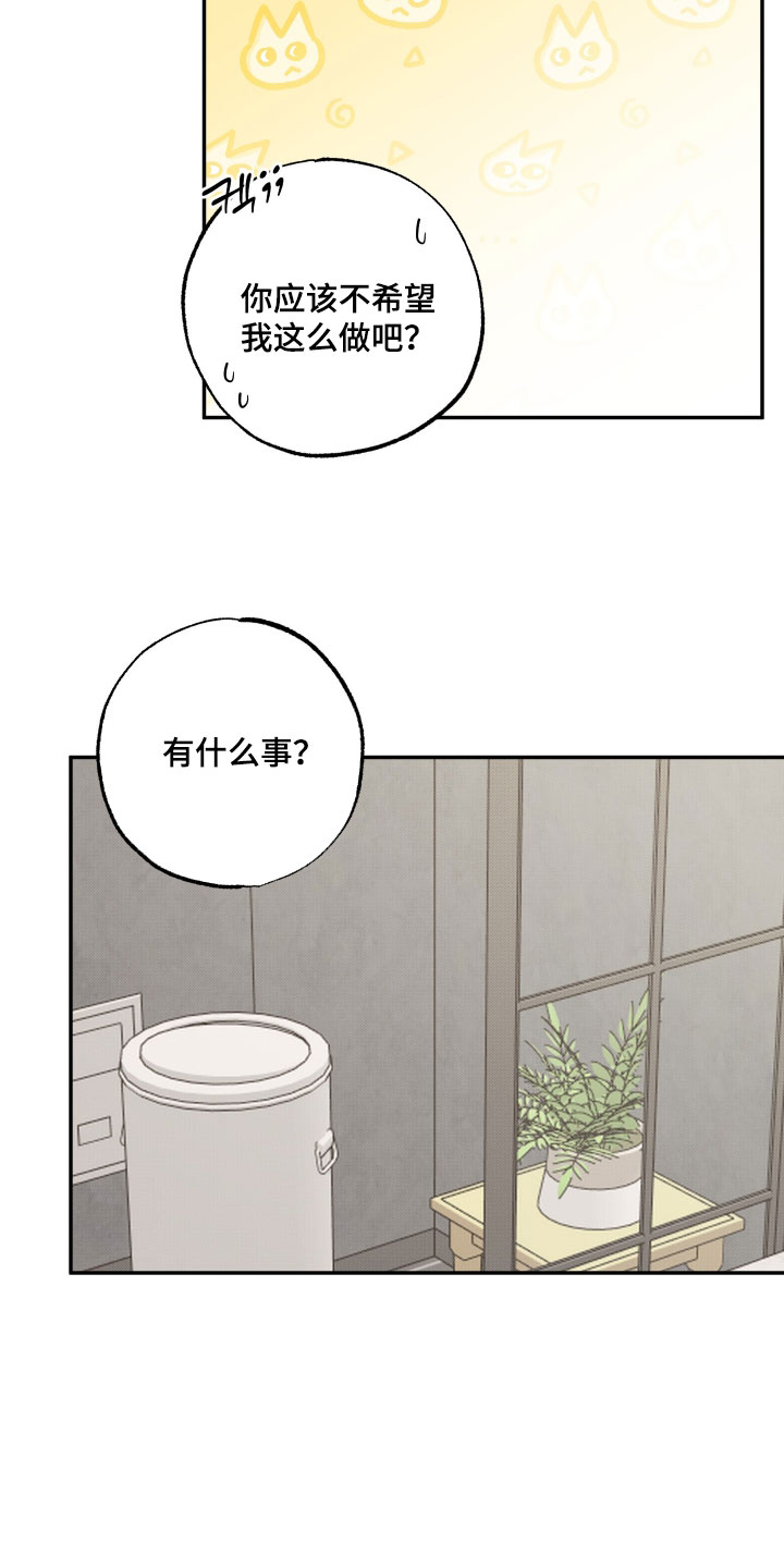 偶像有猫腻还有什么名字漫画,第62章：【第二季】为什么不说话4图
