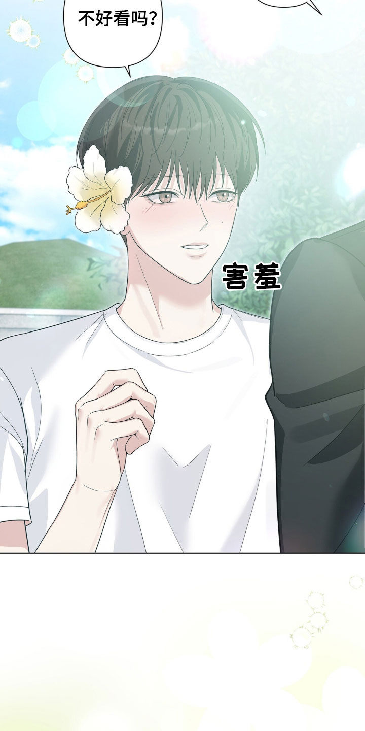 机长密约漫画,第101章：有夫之夫3图