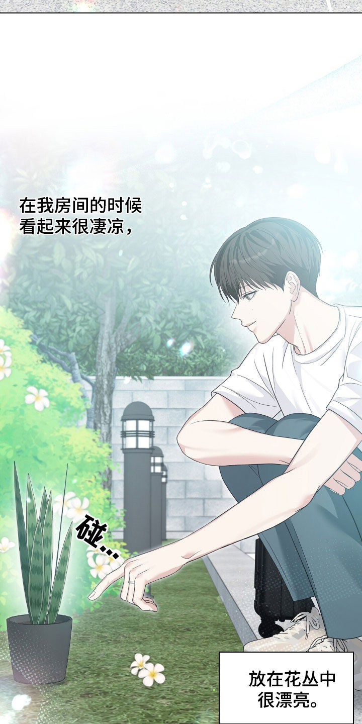 机长密约漫画,第101章：有夫之夫1图