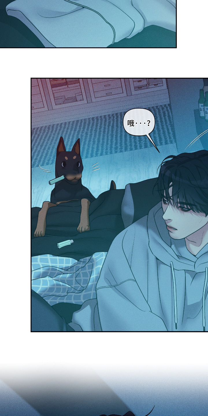 点燃的罪孽漫画,第76章：如你所愿2图