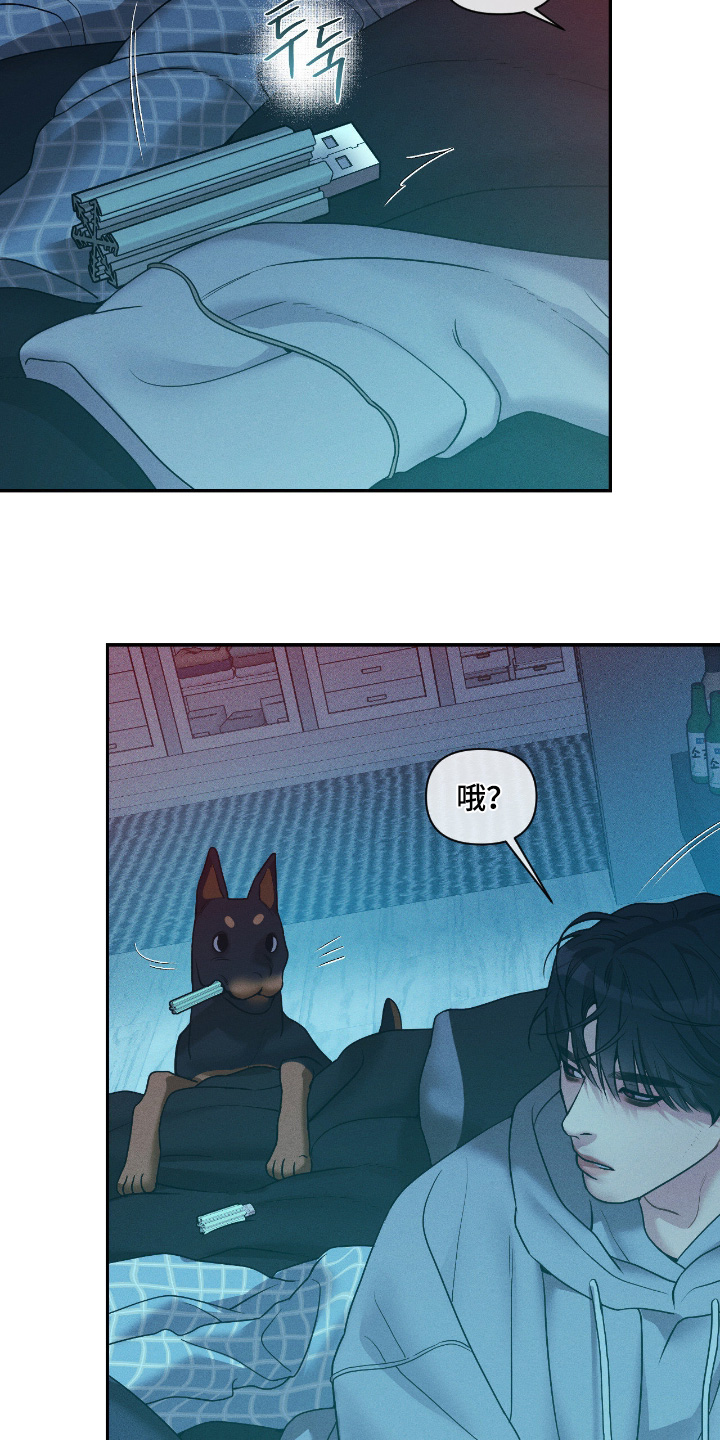 点燃的罪孽漫画,第75章：这是什么3图
