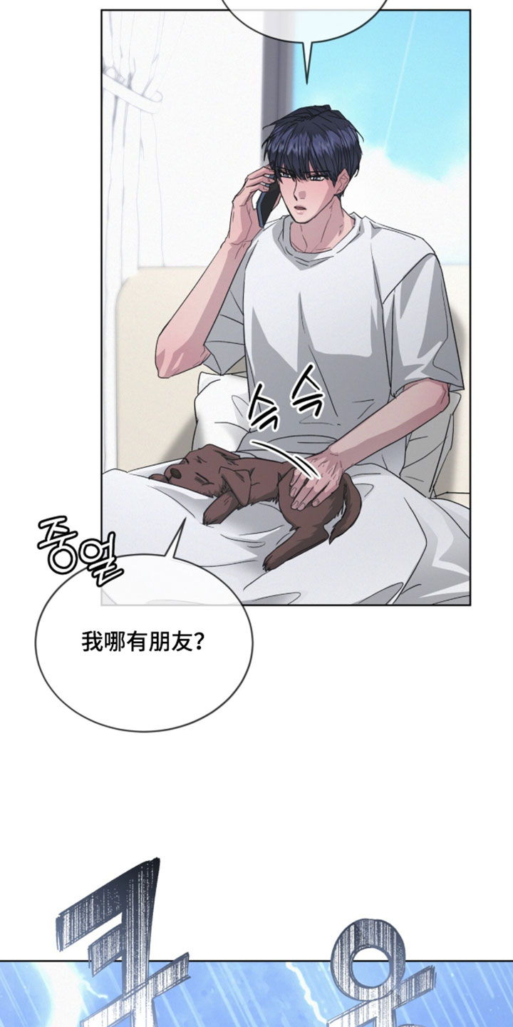 罪影同谋漫画,第82章：【第二季】渴望爱和关注1图