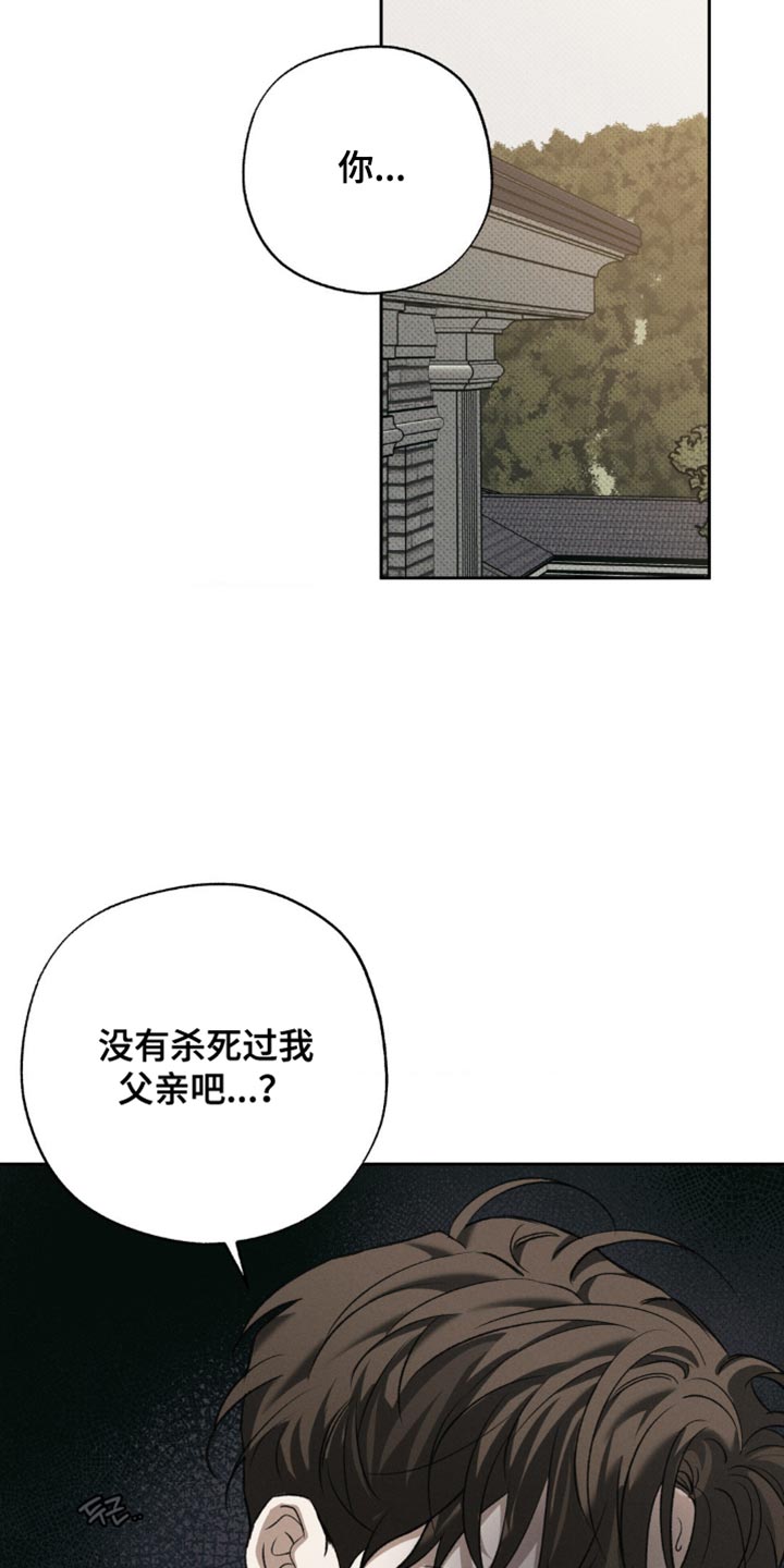 无息之行漫画,第48章：我想找到真相4图