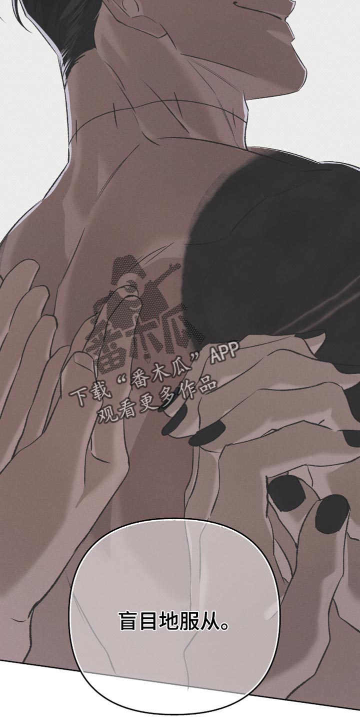 无息之行漫画,第50章：惊喜2图
