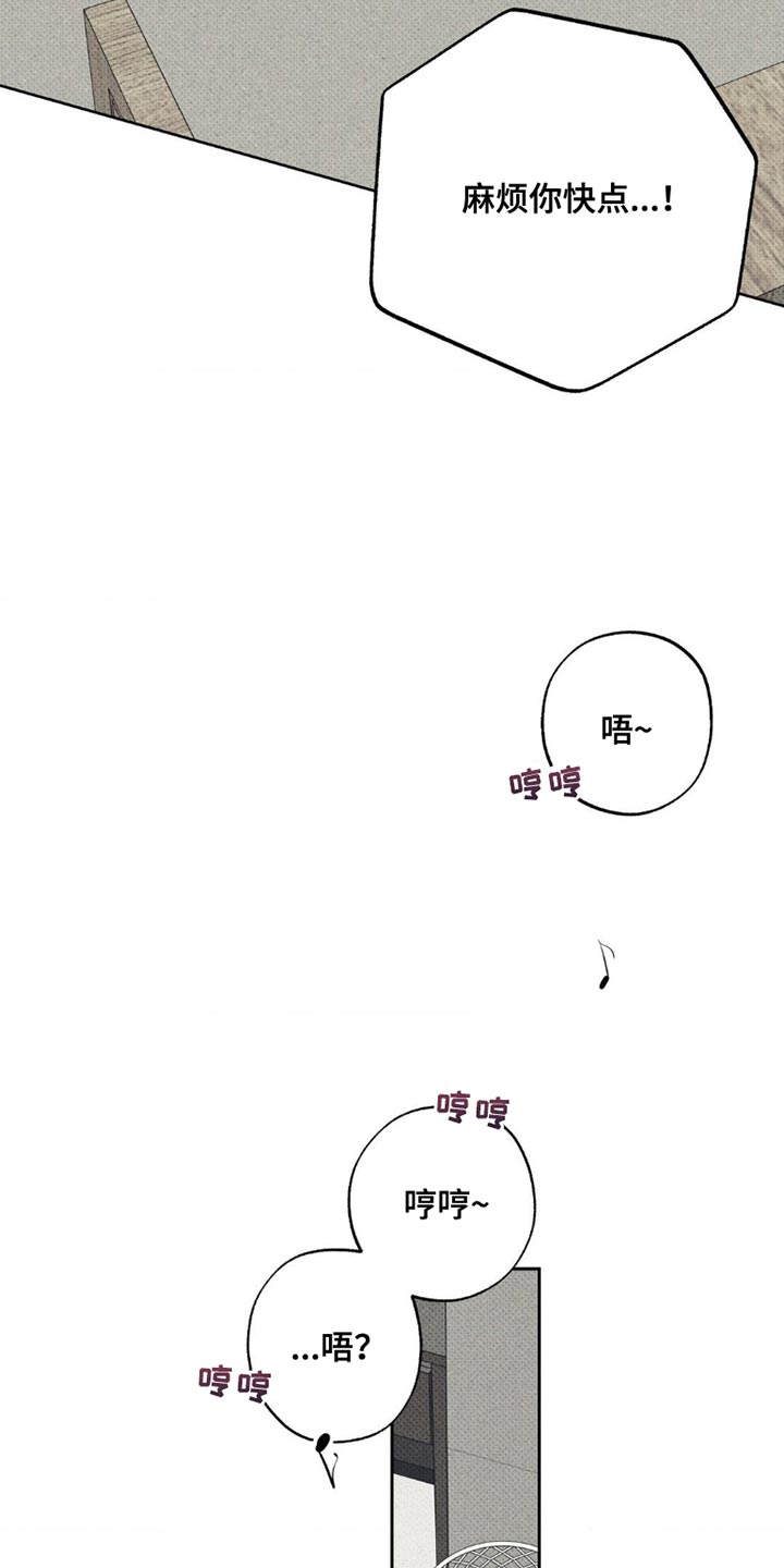 无息之行漫画,第46章：不一样3图
