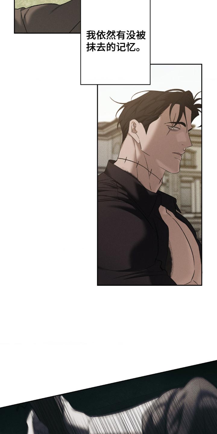 无息之行漫画,第48章：我想找到真相3图