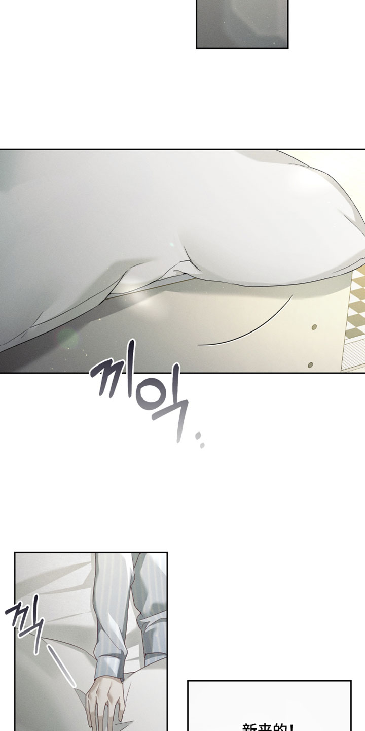 不驯之炎漫画,第95章：你可以的5图
