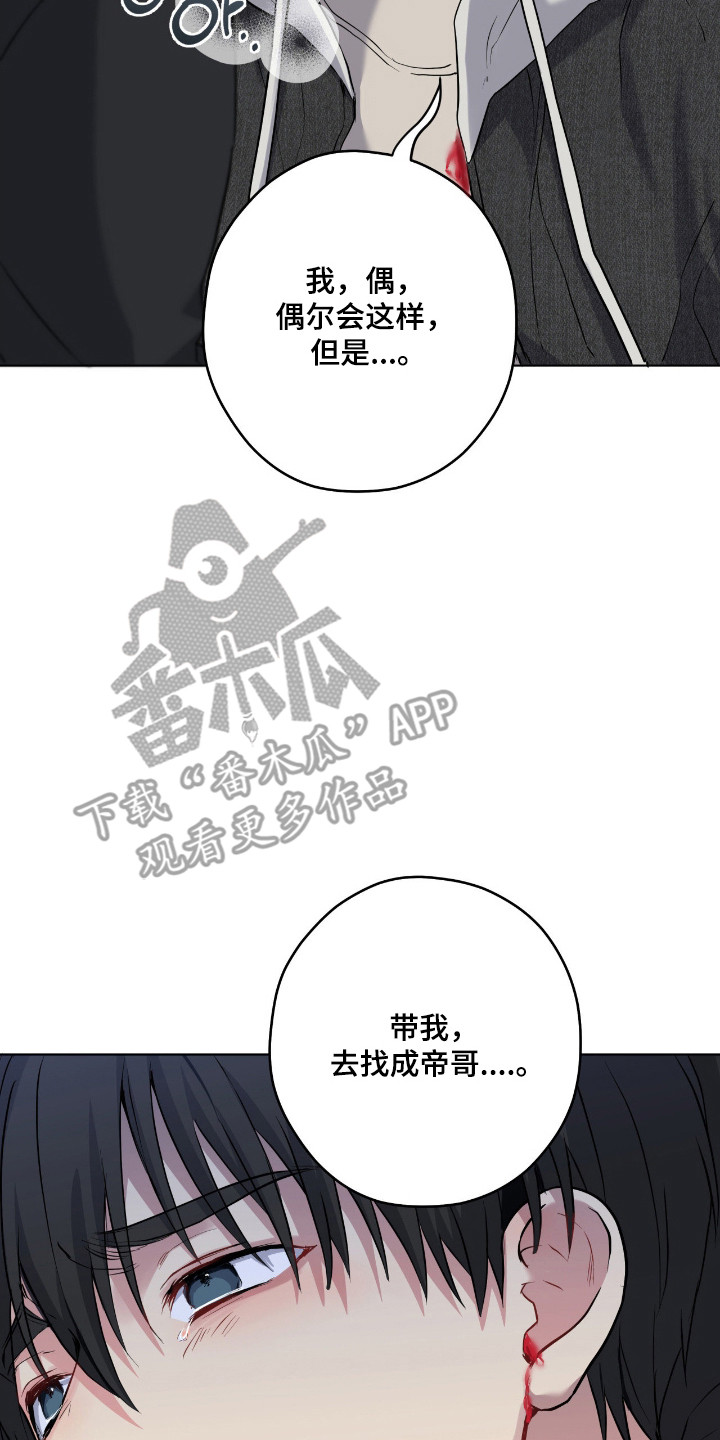 阴暗的幻觉漫画,第87章：【第二季】他受伤了2图