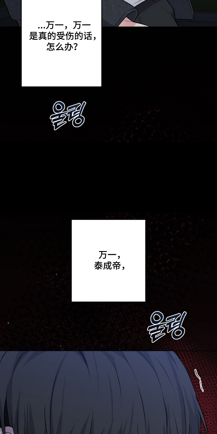 阴暗的幻觉漫画,第87章：【第二季】他受伤了2图