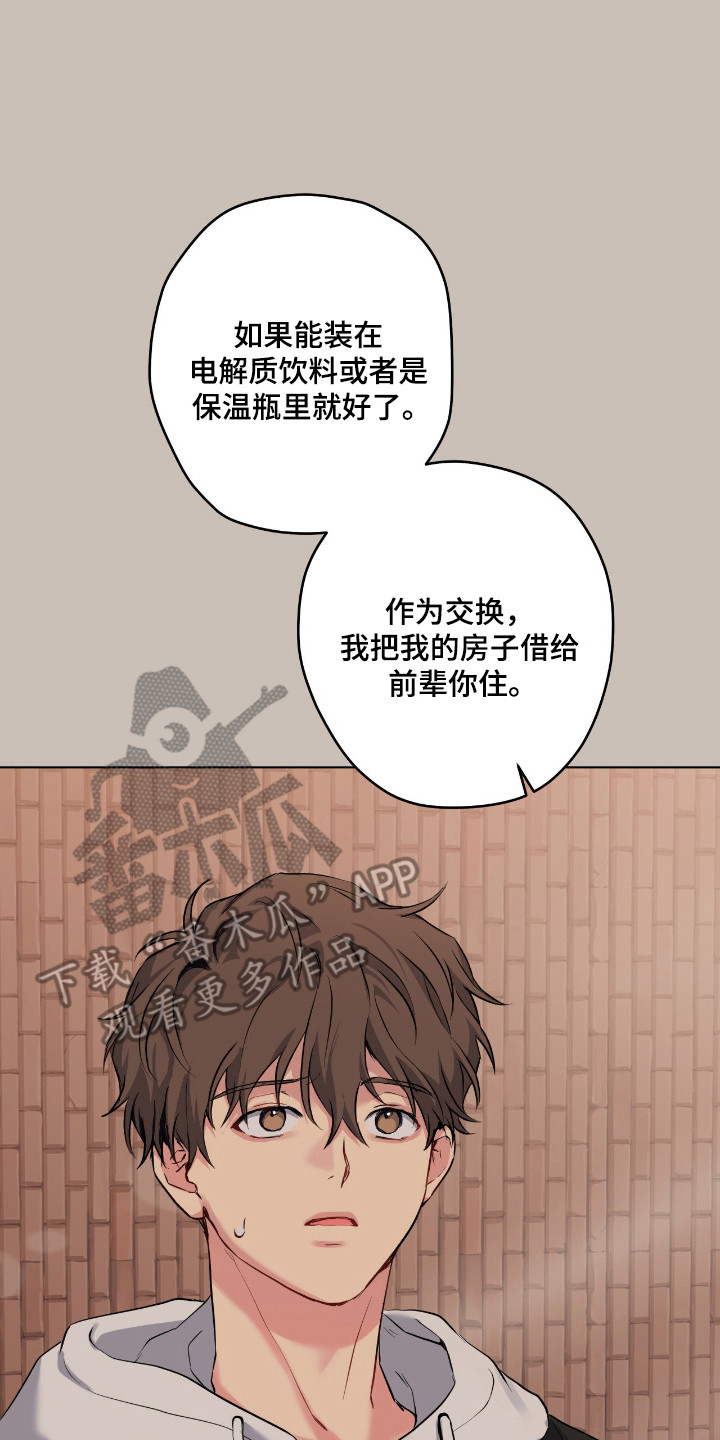 阴暗的幻觉漫画,第90章：【第二季】偷偷行为3图