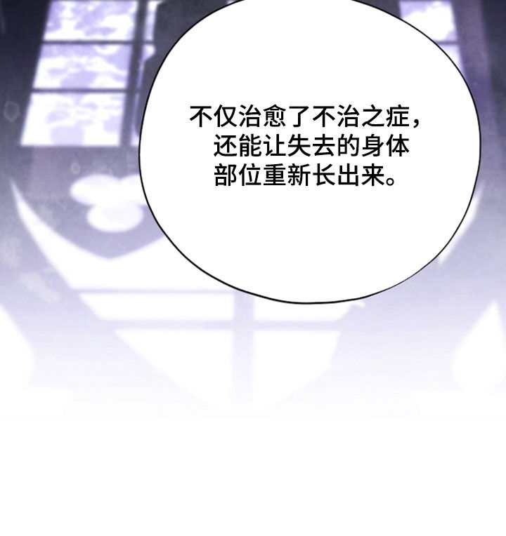 黑暗时代漫画,第95章：【第二季】实现愿望4图