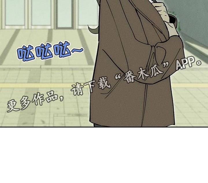 枯萎的花伤心的泪漫画,第256章：观察1图