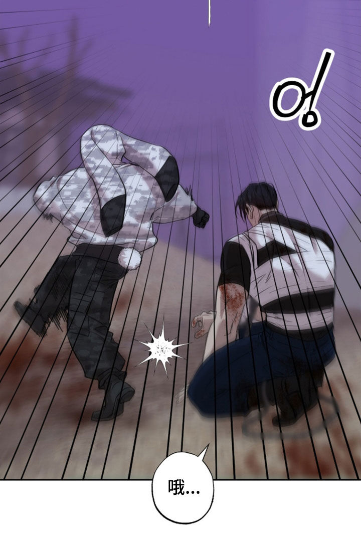 双生悲愿漫画书周边漫画,第93章：埋葬2图