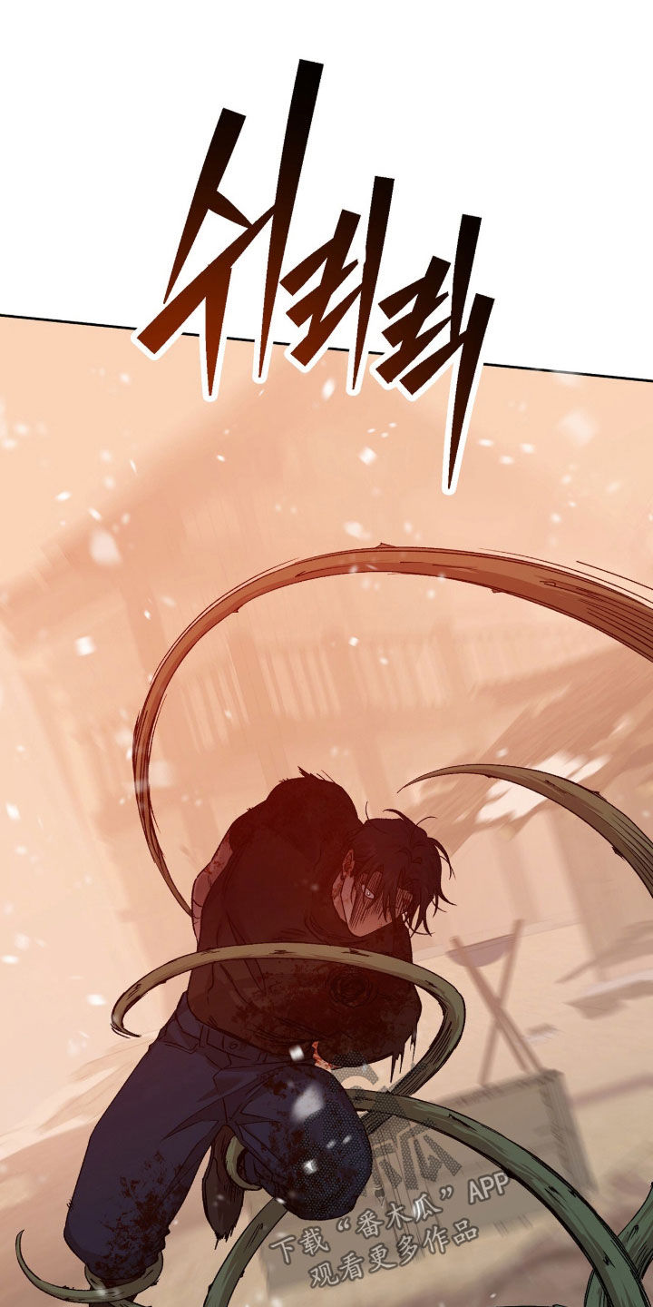 双生悲恋全文阅读漫画,第91章：神明的震怒2图