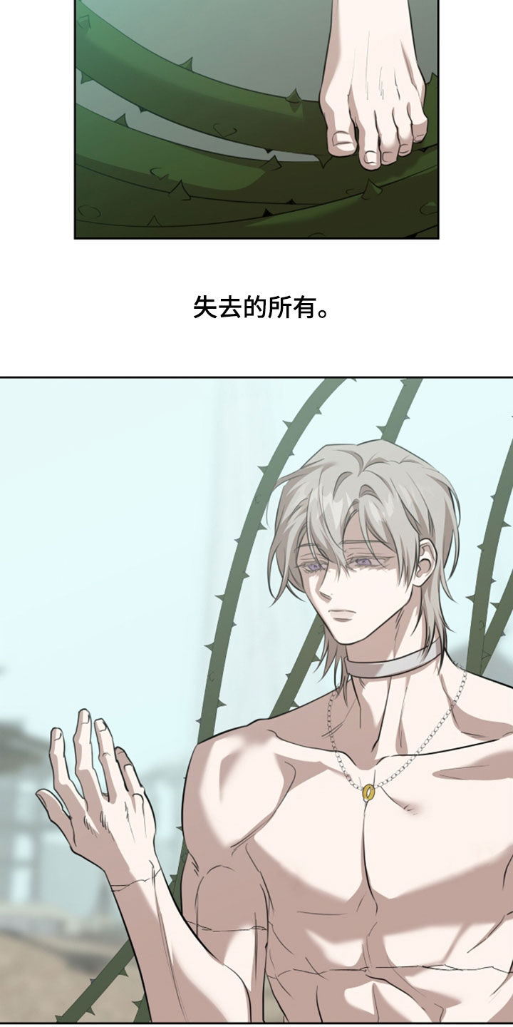 双生悲愿作者是谁漫画,第95章：再生（第一季完结）2图