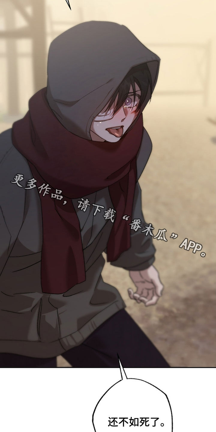双生悲恋全文阅读漫画,第87章：还不如死了5图