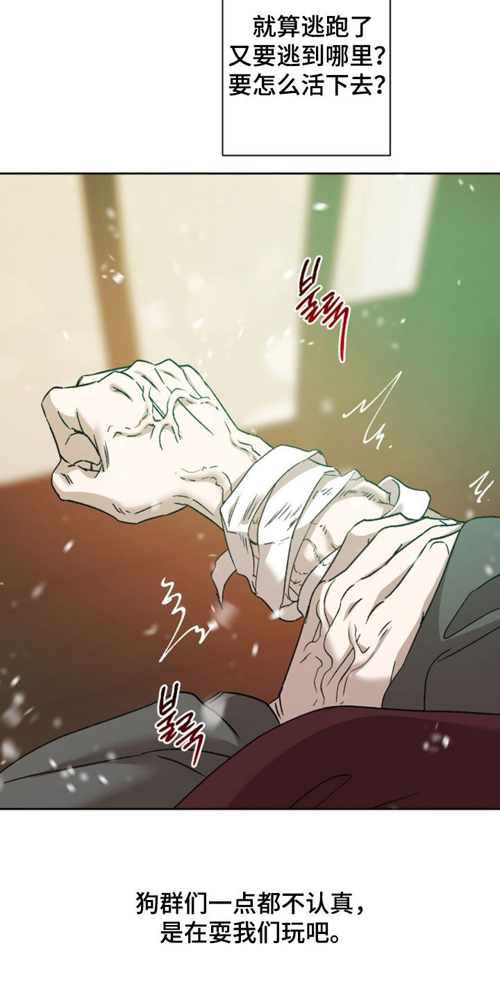 双生悲愿漫画,第86章：肥猪枪2图
