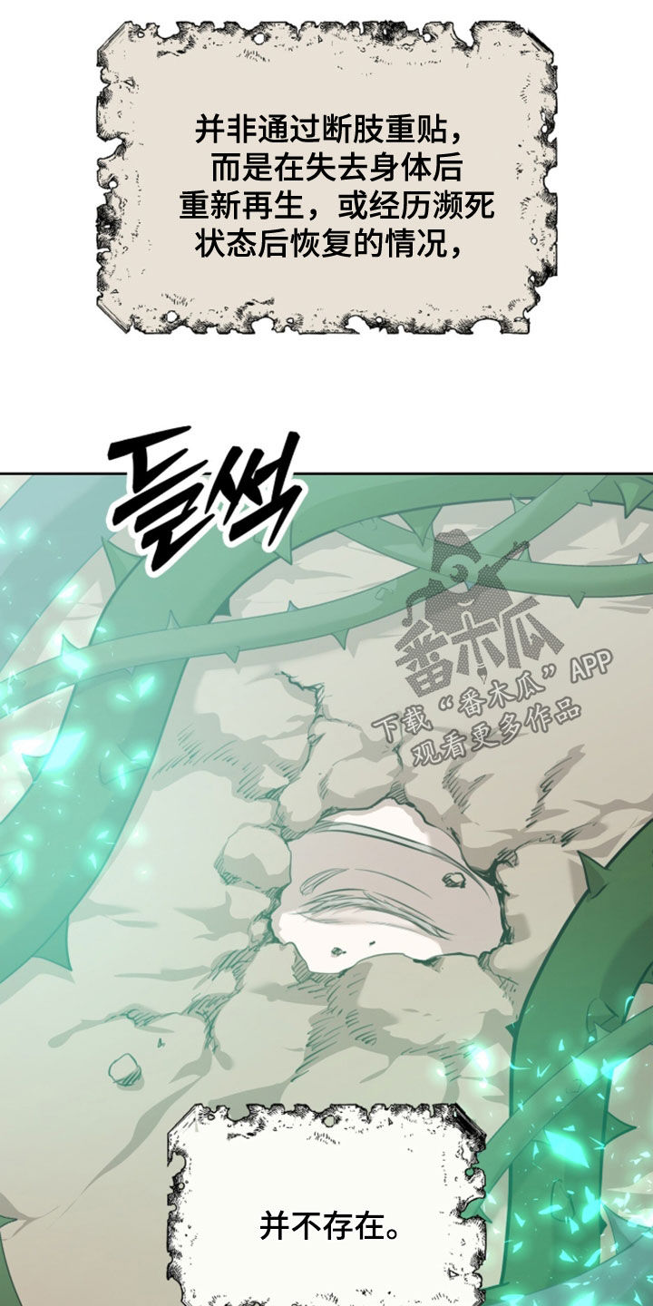 双生悲愿作者是谁漫画,第95章：再生（第一季完结）4图