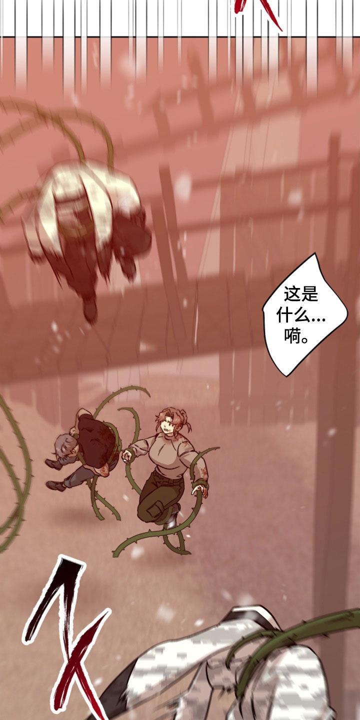 双生悲愿弟弟真的死了吗漫画,第92章：红雪2图