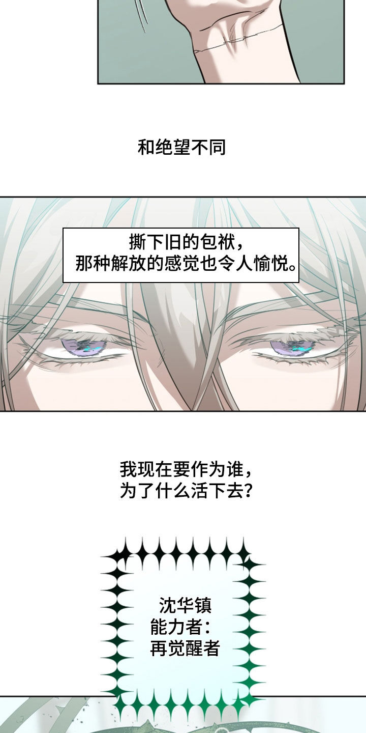双生悲愿作者是谁漫画,第95章：再生（第一季完结）4图