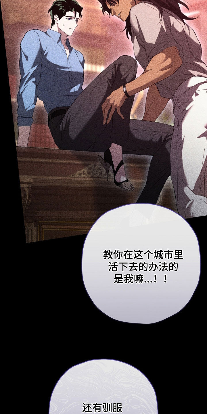 无间搭档韩漫又叫什么名字漫画,第90章：全部都是我2图
