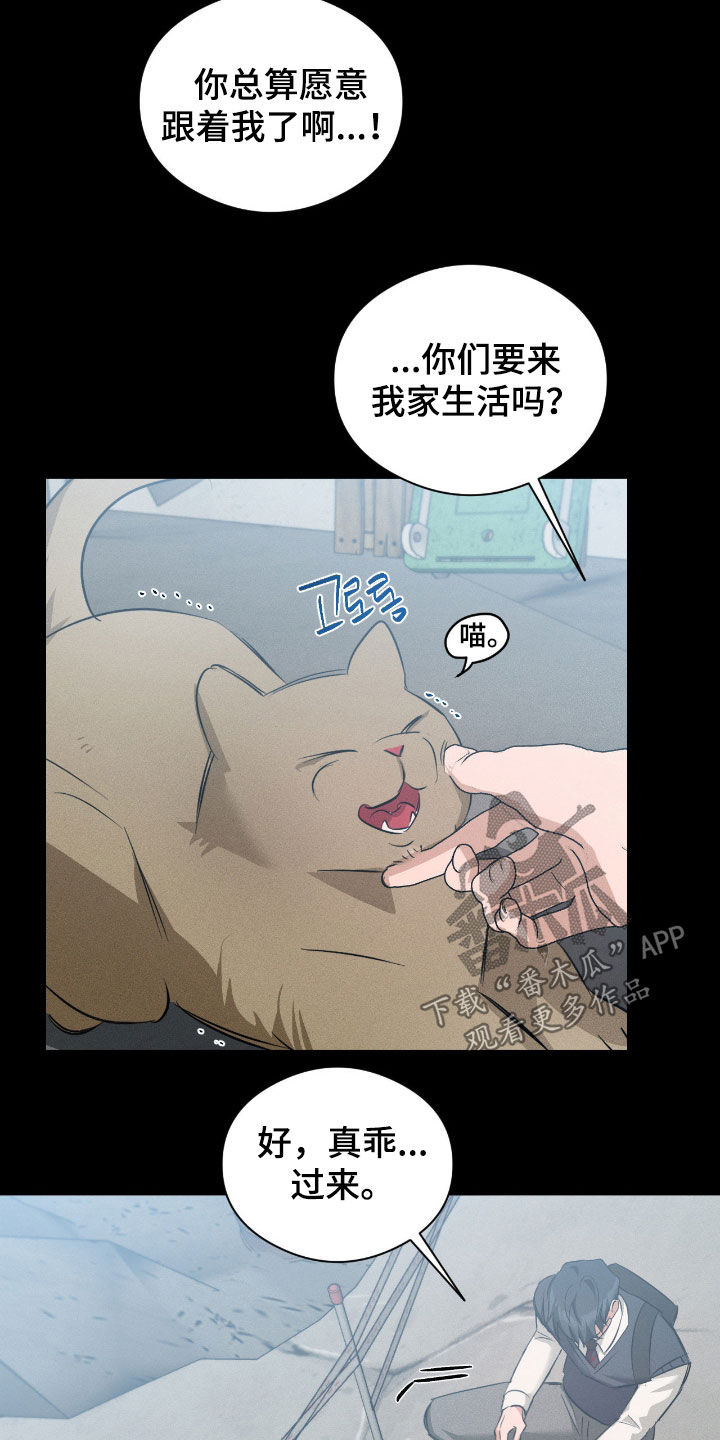 请认准此神棍漫画,第49章：太极端了3图