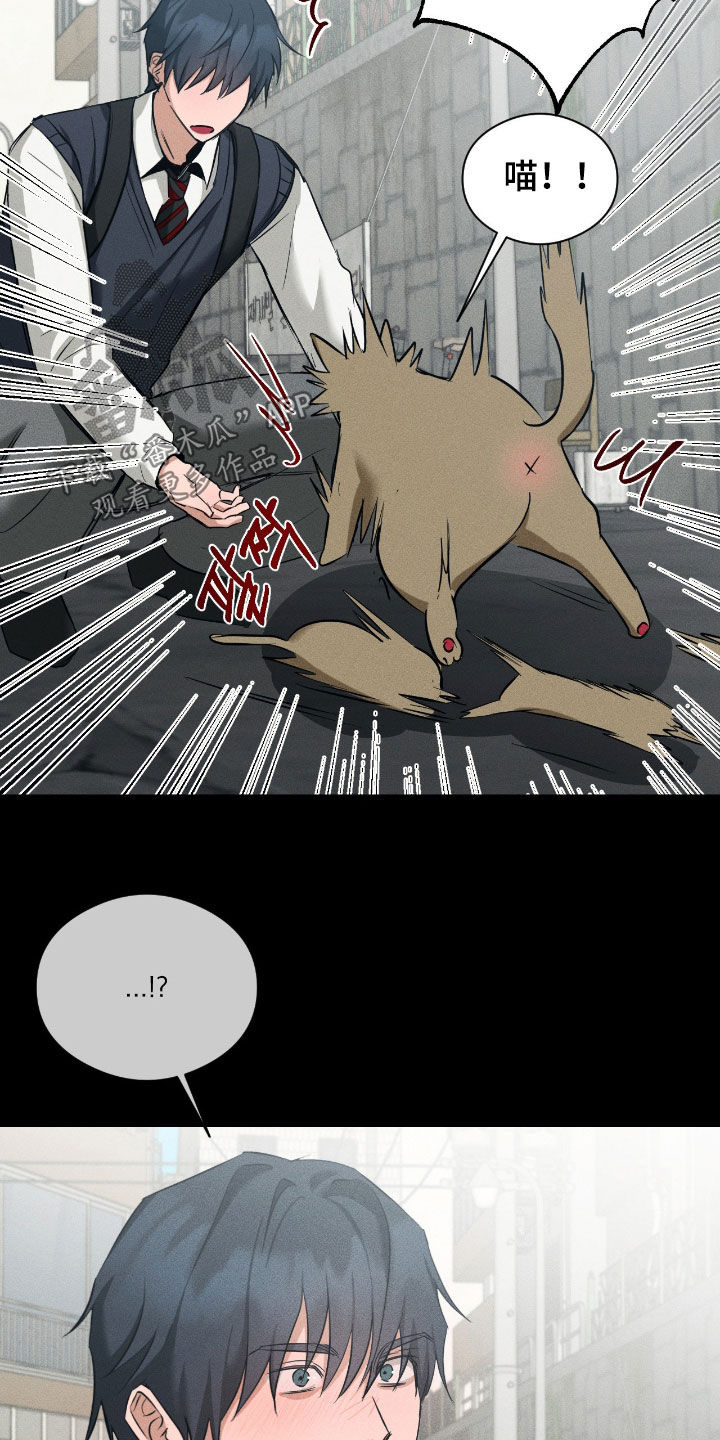 请认准此神棍漫画,第49章：太极端了5图