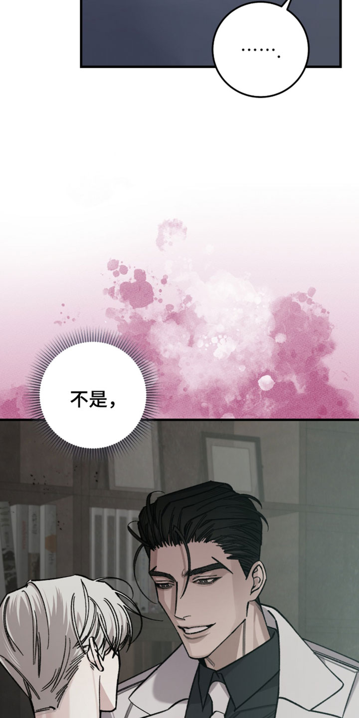 越界助理漫画,第72章：【番外】可能是你的错觉4图