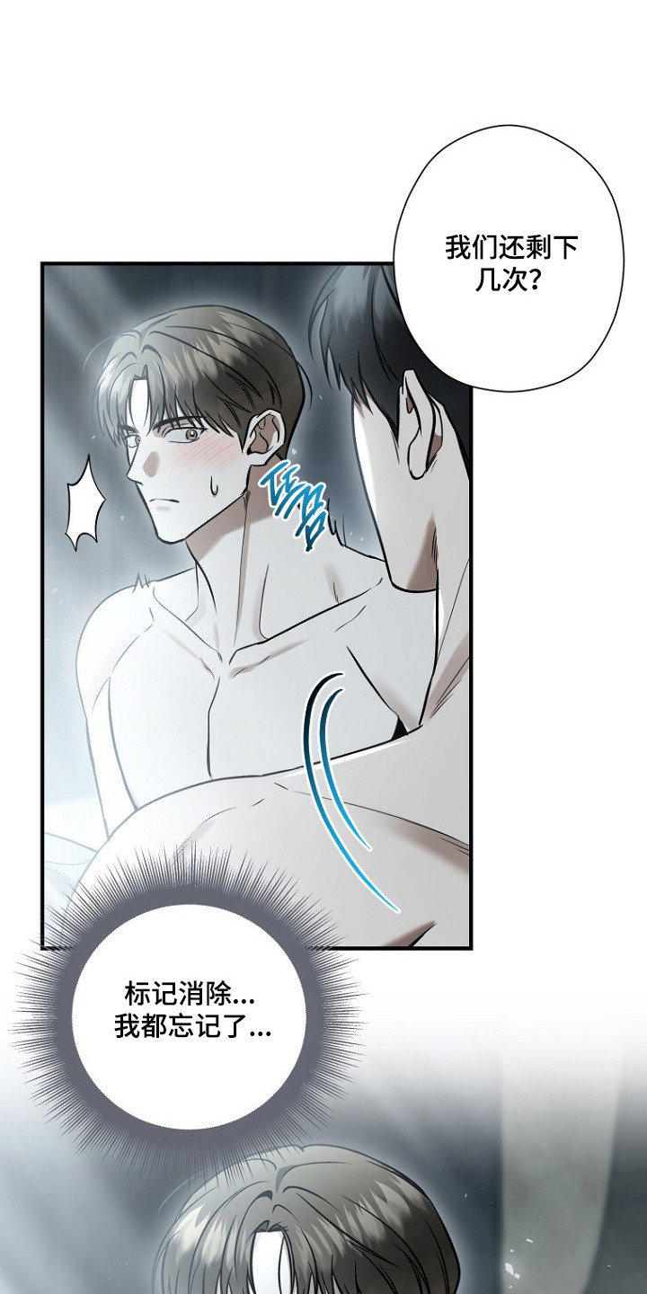 标记我的首席漫画,第82章：求爱（第一季完结）1图