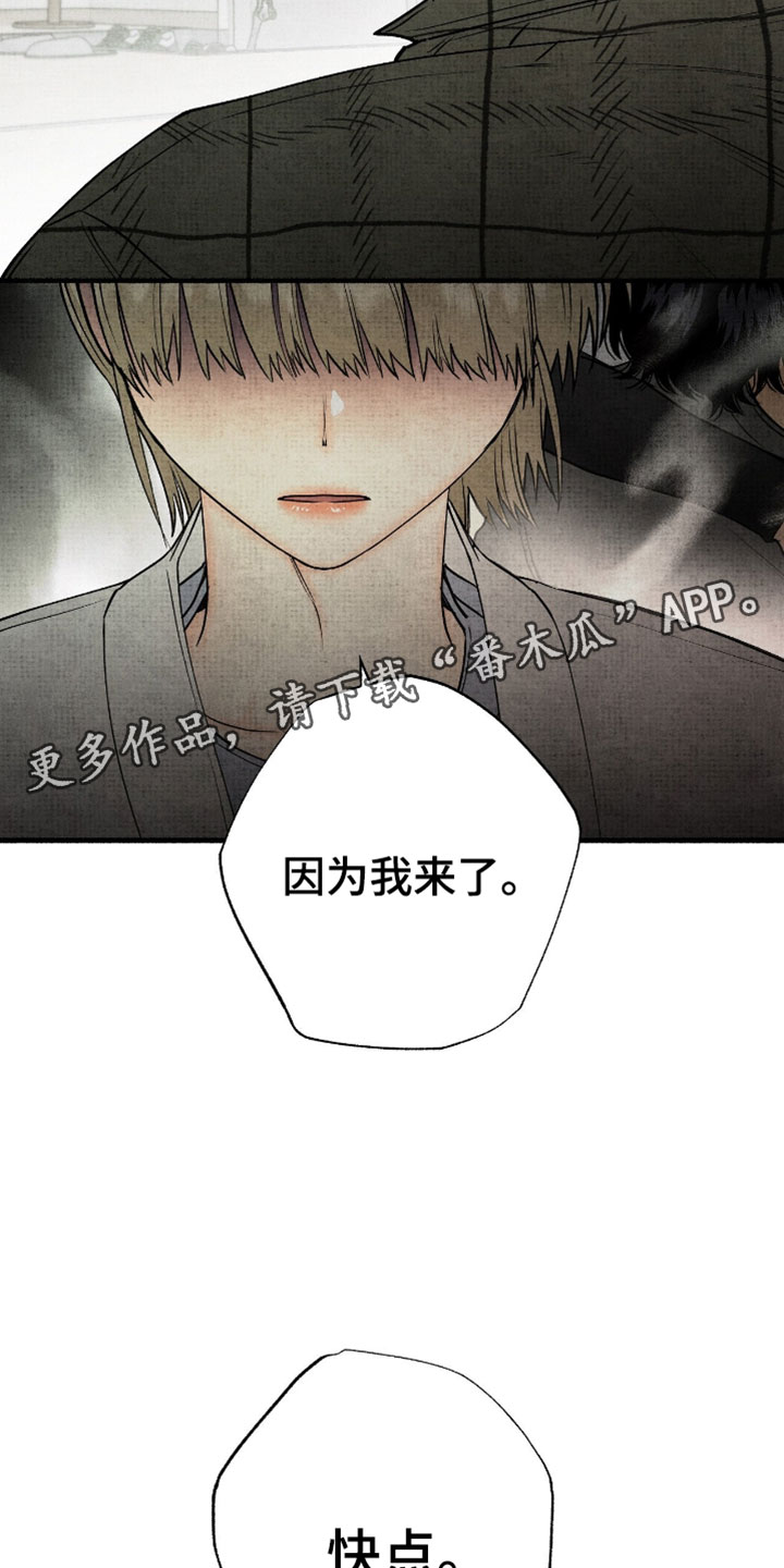 第72章：因为我来了1